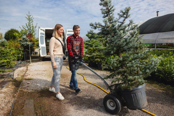 Professional Tree Service in Wellford, SC